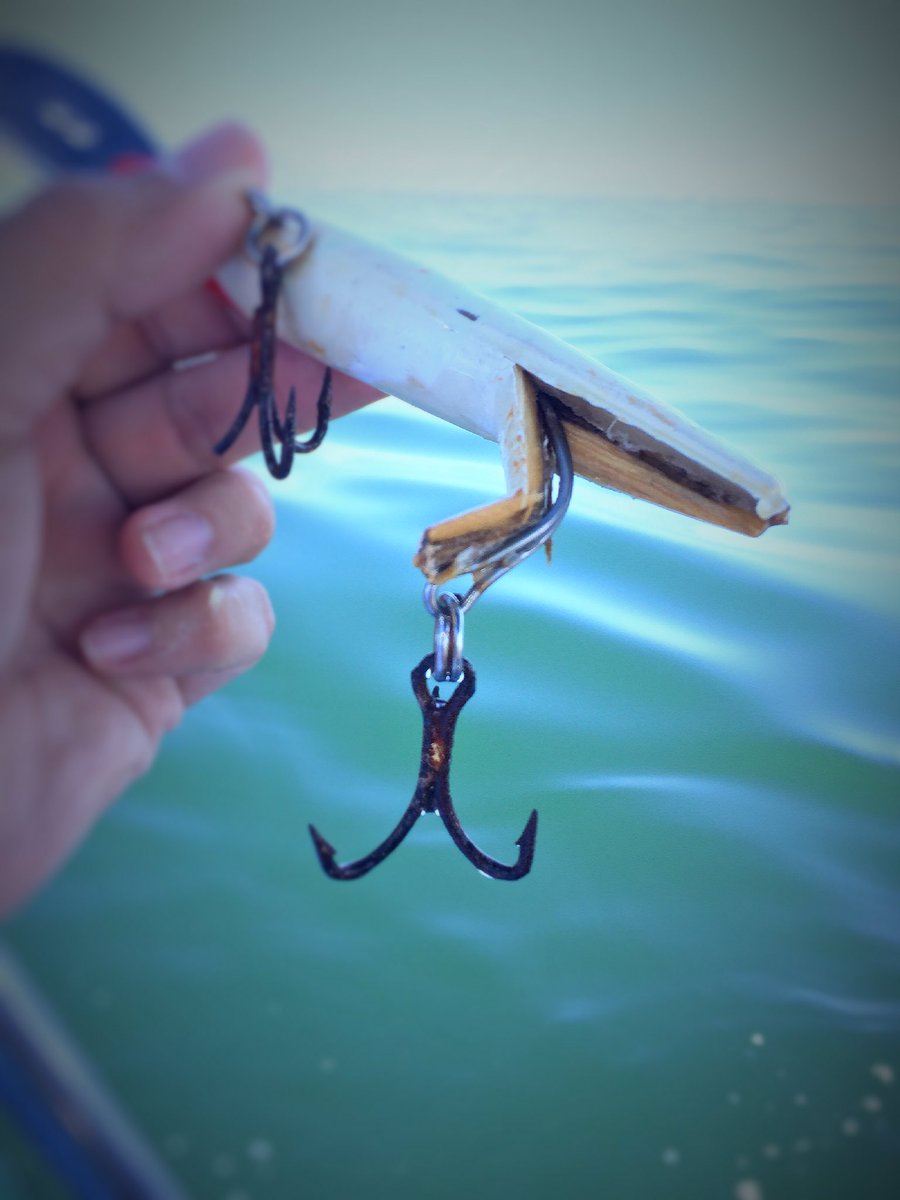 Pescadorazo's tweet photo. Fotos tomadas del fb de @JuanOlveraPV #PuertoVallarta #Pesca #fishing https://t.co/NmJ1iEnGb9