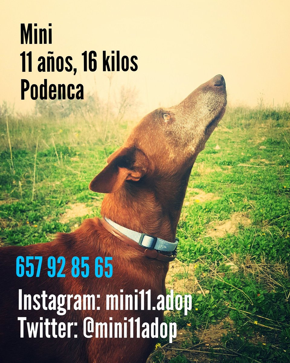mini11adop's tweet photo. https://t.co/uyHwp8I1EH