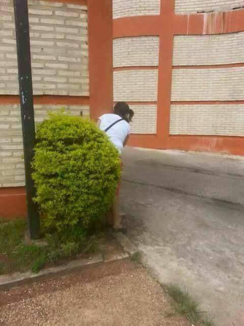 lapupiIeta's tweet photo. Si alguien está en el Motel Guaraní ¡Pilas! Lo están esperando a la salida. https://t.co/vwM7tW3gTR