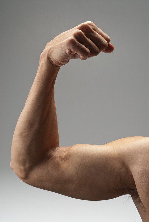UtopiaValley_'s tweet photo. You don't need to go to a gym to gain muscle. We will help you on what you want to achieve. Keep fit, stay fit! https://t.co/WdijTpOBbf