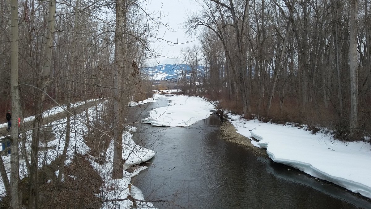 ozzrunner's tweet photo. Back to the sunshine after a weekend trip to do course setup @ Hypothermic Half  in Kelowna  -8deg  mud and Ice, winning time 1:25 https://t.co/hHJHD9u8HS
