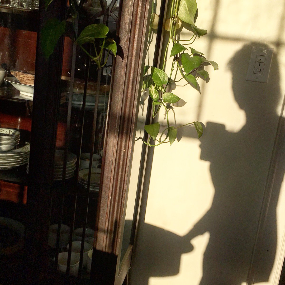 inspiredbuff's tweet image. Sun and the shapes it makes...amazing sunshine in #WNY today. #sunselfies #shadowselfies #lovethesun