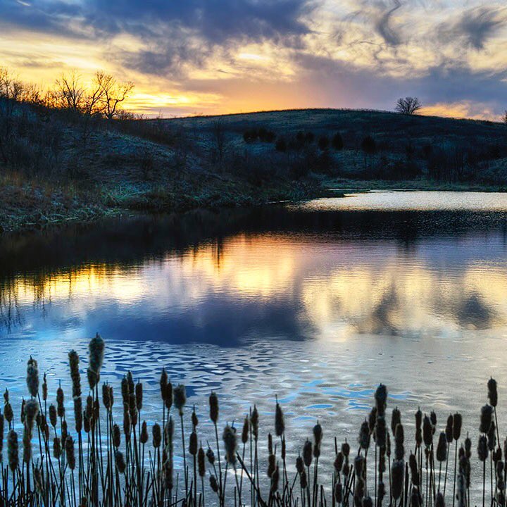 Colorful sunset among the cattails at a pond west of Olin. #Thisisiowa #NaturePhotography