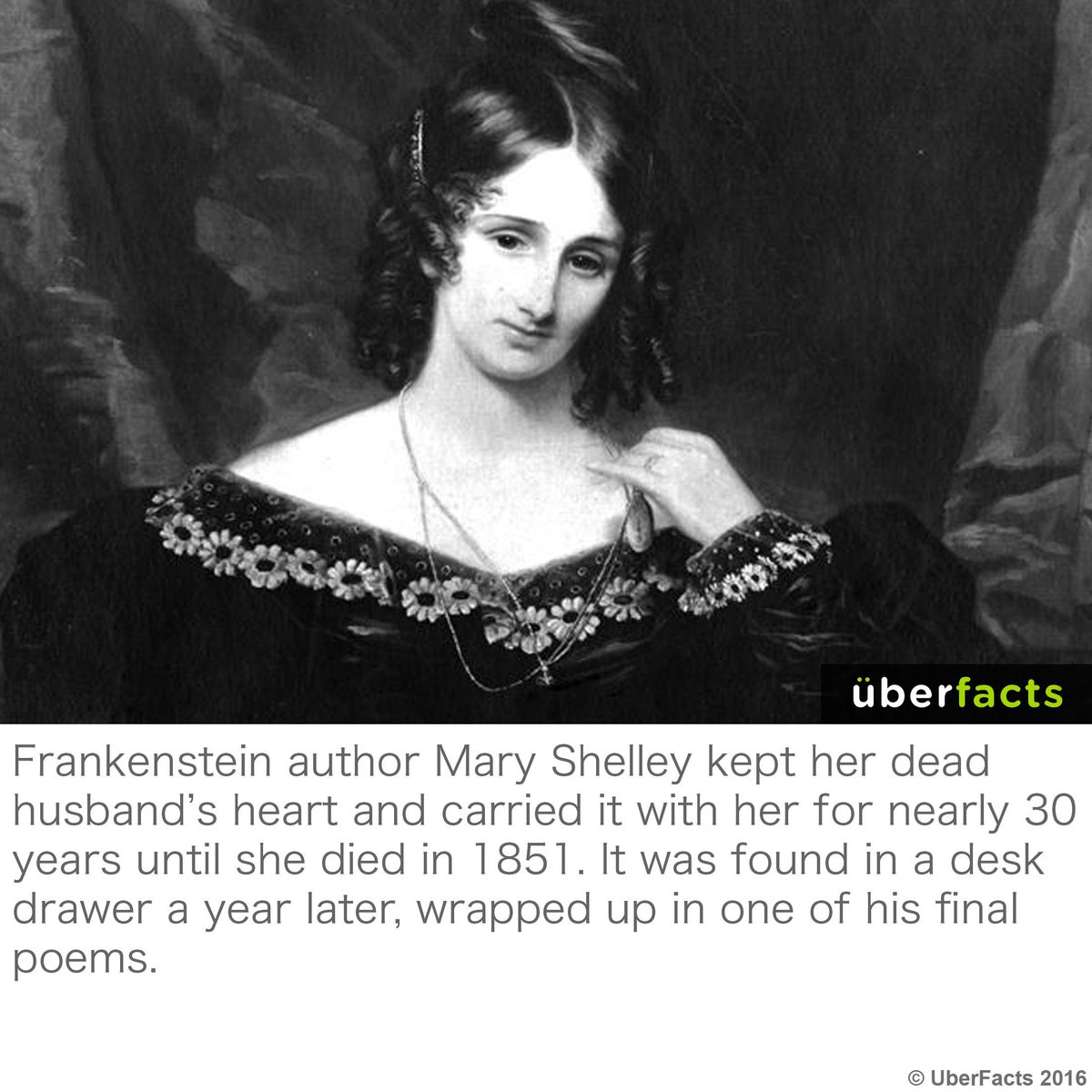 UberFacts's tweet photo. Totally normal https://t.co/XS2l4sODbq