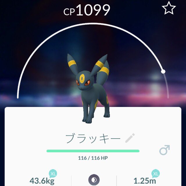 あゆみ ブラッキーとエーフィget出来たから金銀もう満足しちゃった感あるけども デンリュウに出会えるまではがんばろう 昨日 たまごからやっとポリゴンが出てきてくれてうれしかった O ˆ ˆ O あゆみ ブラッキーとエーフィget出来たから金銀もう満足しちゃった感あるけども デンリュウに出会えるまではがんばろう 昨日 たまごからやっとポリゴンが出てきてくれてうれしかった O ˆ ˆ O