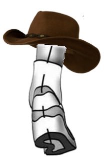 Run_Mas's tweet photo. WHAT IN PRONATION https://t.co/ed9m3el6B6