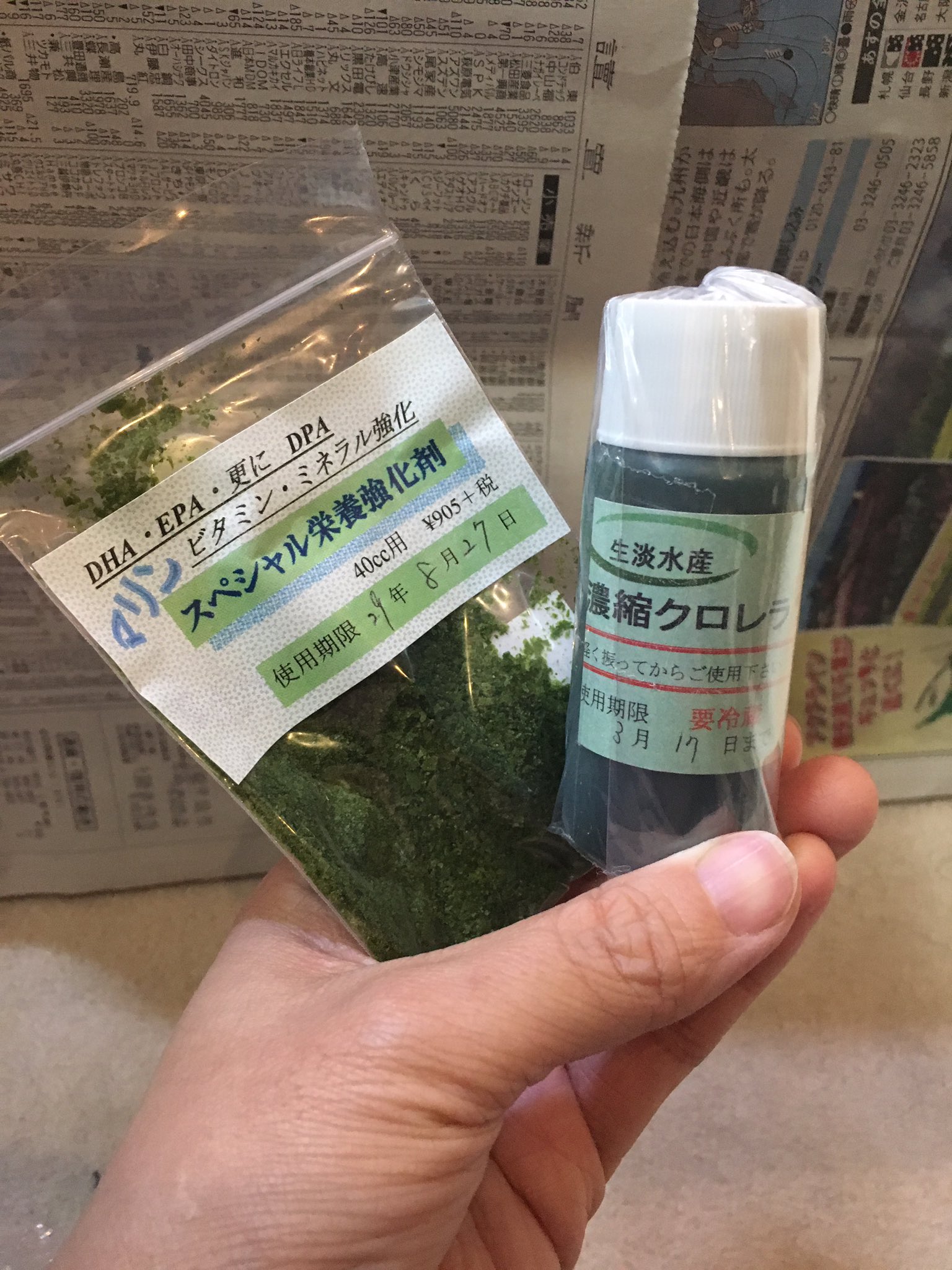 ট ইট র ナウシカちゃん ゾエアの餌にはクマノミ等の繁殖に使う植物性プランクトンの濃縮淡水クロレラと動物性プランクトンのワムシを試しています ワムシはつついてる様子は見えるけど吐き出したりもしてるのでもう少したってから ヤマト ট ইট র ナウシカちゃん ゾエアの餌にはクマノミ等の繁殖に使う植物性プランクトンの濃縮淡水クロレラと動物性プランクトンのワムシを試しています ワムシはつついてる様子は見えるけど吐き出したりもしてるのでもう少したってから ヤマト