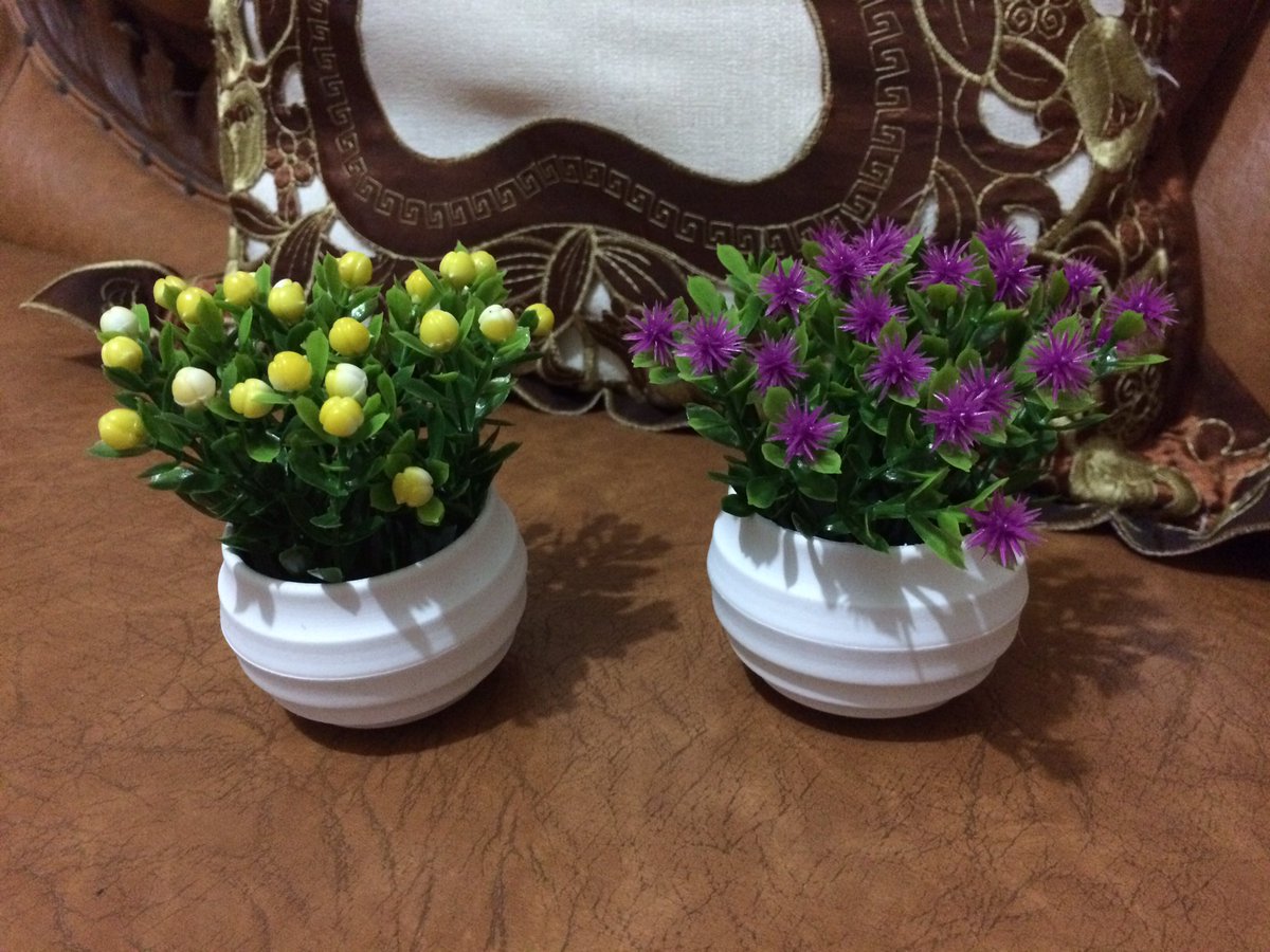 iiennara's tweet photo. https://t.co/47heOVjNLZ