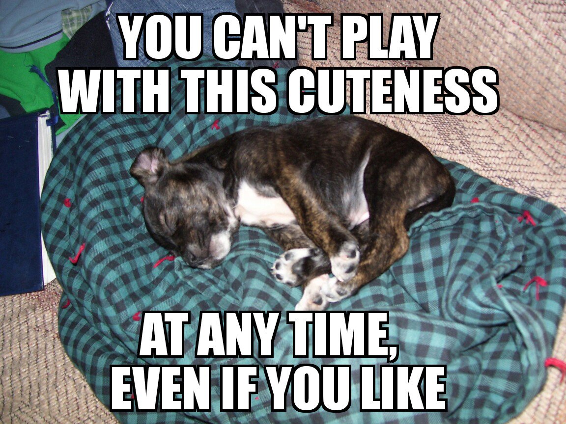 AdamMKeeley's tweet image. Details, details 🤔 #smallstudy I very much agree #consent
youtu.be/BlZzv8vxuZ8
#notallfurries #orderofoperations
independent.co.uk/life-style/lov…