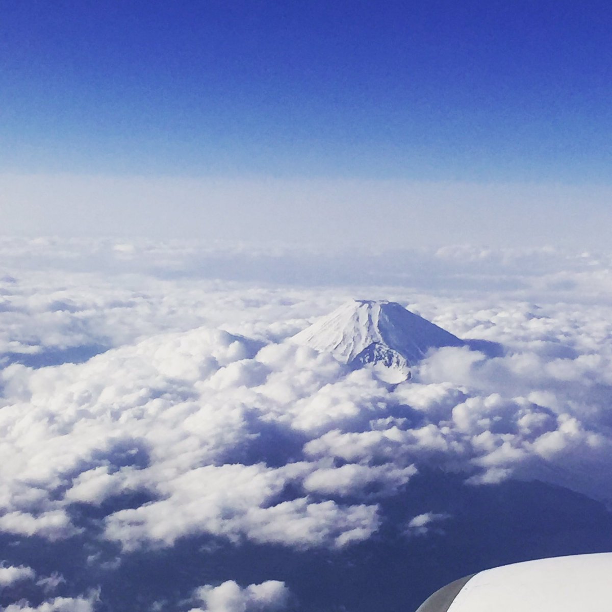 Just your run of the mill, VOLCANO (Mount Fuji) poking up through the clouds on a flight to Osaka!! #japan #scotch #whisky #mymacallan
