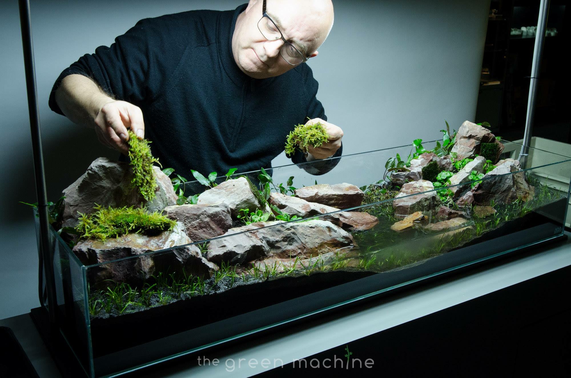 The Green Machine on X James places moss into Continuity aquascape see the aquascaping video here https t vTG5eaqcwy aquatics plantedtank https t BJN5NupLwQ X