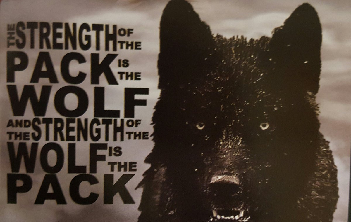 MA_football2016's tweet image. Angelou Wolfpack Varsity Football we give it all on every play, and when we leave the field, we left it all on the field