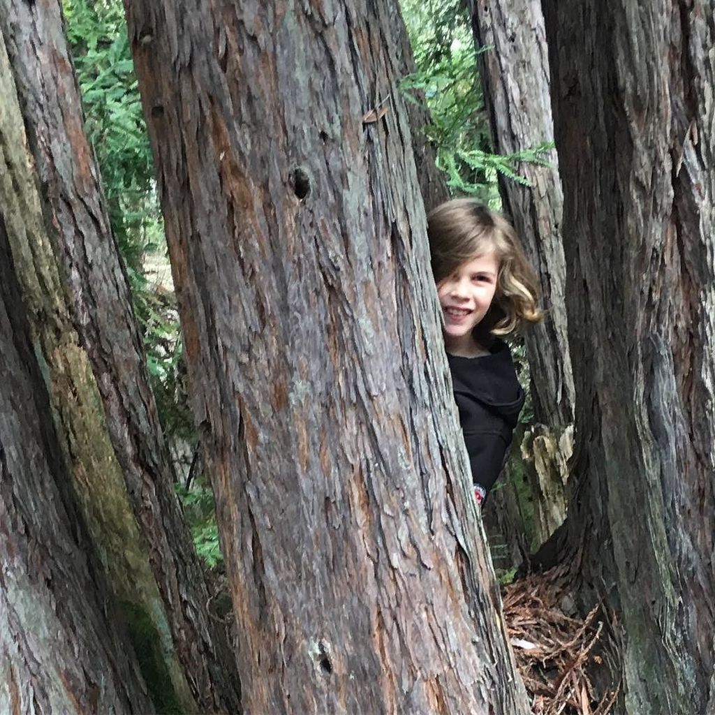 NapaValaree's tweet photo. #Noah #hike #fun #visit #jacklondonstatepark Had a great time with Noah, Grandma Gail, and Rae today! https://t.co/w2A4CZP2xw