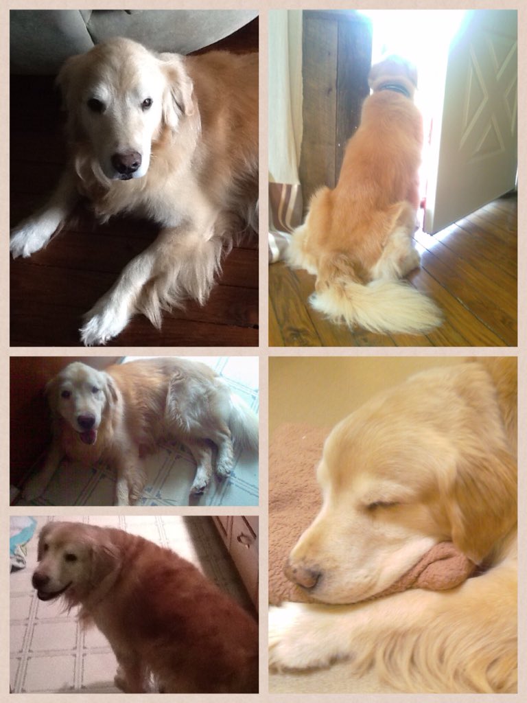 Angela Raimondo (@AngeUSA) | Twitter