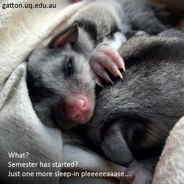 Welcome back to campus for 2017! #uqnews