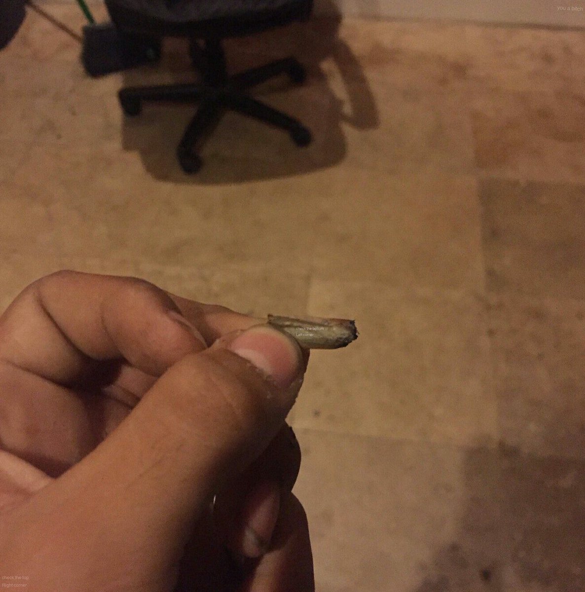 LouisVSammy's tweet photo. zoom in on the roach rt to spread this message https://t.co/V2Tt990F1I