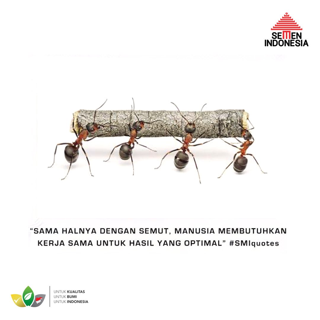 SIGofficial_'s tweet photo. Mari belajar bekerjasama dari semut. Pekerjaan berat akan berubah menjadi ringan bila dikerjakan bersama. https://t.co/UCtUZSD15t