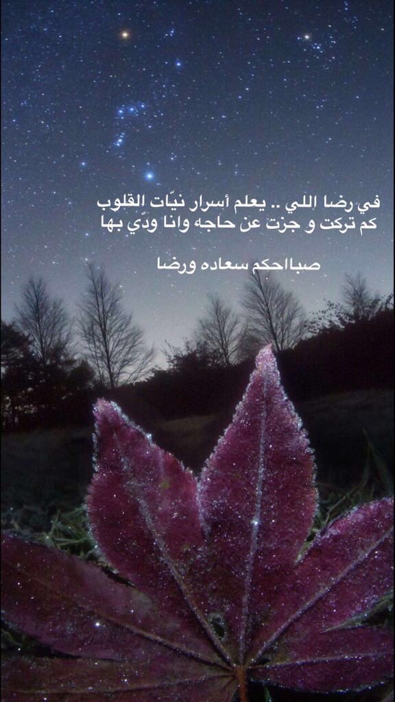Abo_Mulaih's tweet photo. #قروب_عزوز_للدعم
#نسايم_ليل_للدعم

صباحكم رضا وسعاده ... https://t.co/z3NunNGntK