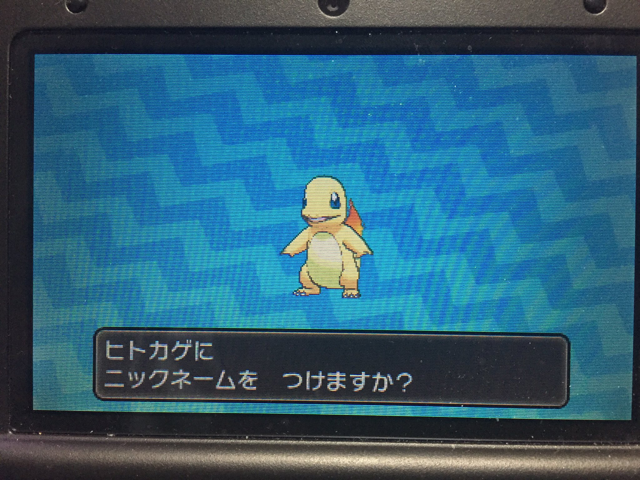 おざしん ポケモン垢 Ozashin Pokemon Twitter
