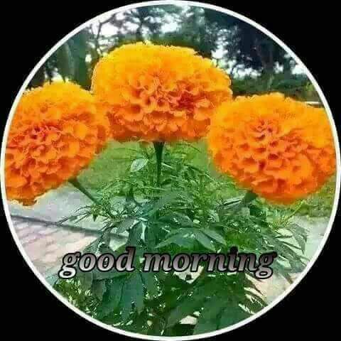 prabhat_ranjan7's tweet photo. https://t.co/ZtbNxOS2jP