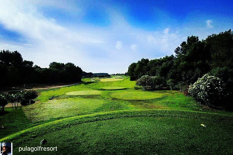 PulaGolf's tweet photo. Buenos días desde #pulagolf #sonservera #golfeastmallorca vive y disfruta el #estedemallorca #allyear #feelit 🍀💚🔝⛳😎 https://t.co/aU1rl9KvuJ