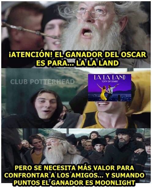 ericksotog's tweet photo. #Oscar2017 https://t.co/Wfm4tFtpLa