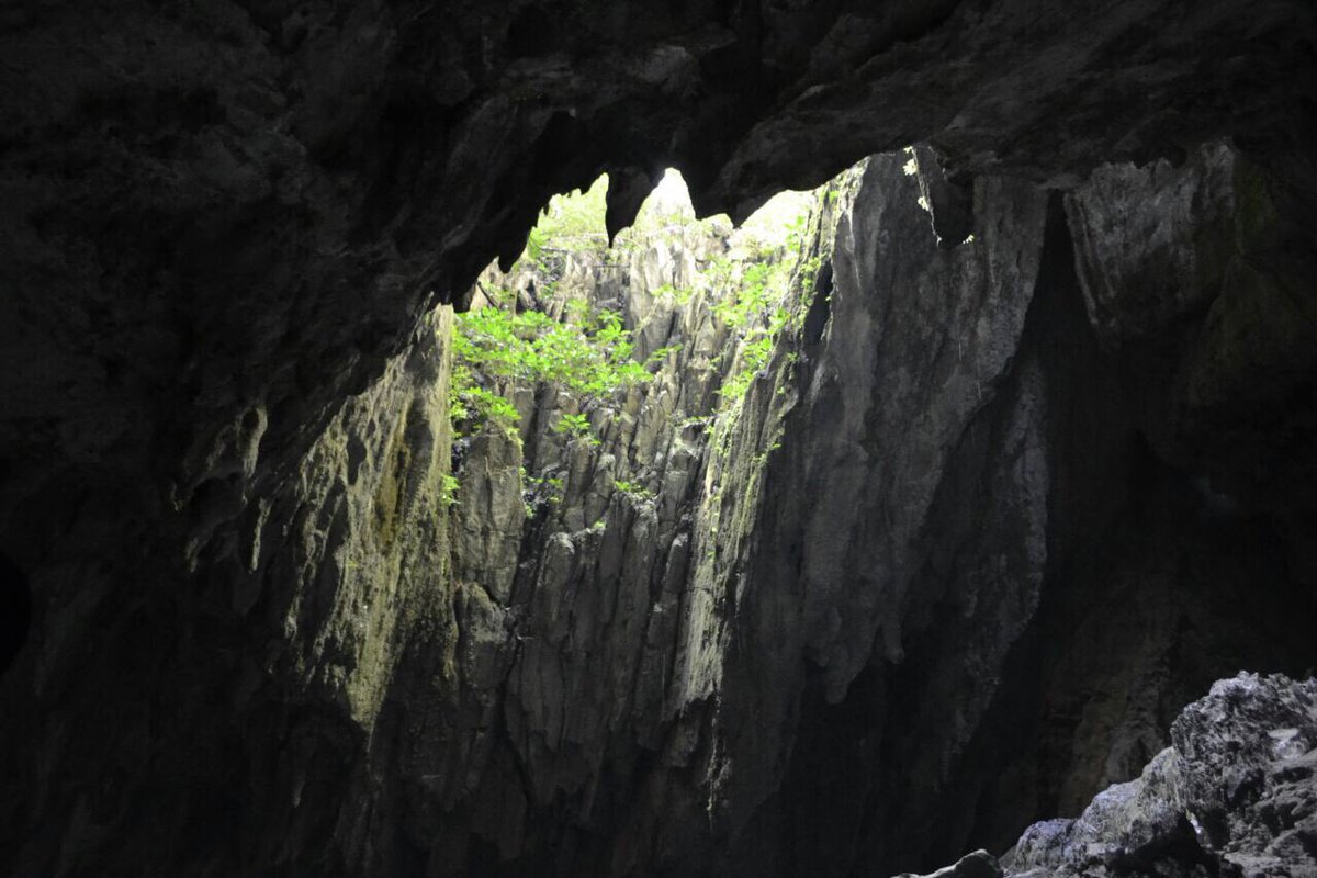 ボルネオトレイル コタキナバル على تويتر 世界遺産グヌンムル国立公園 内の洞窟散策の途中で見ることができる洞窟の合間にあるこの空の青さと植物の緑の美しさ あまりの綺麗さにため息がでます ムルの手配もやっています コタキナバル ボルネオ ムル 世界遺産