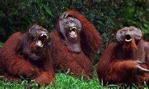 Honest_Southern's tweet photo. BEHIND THE SCENES: the #SouthernRail customer focus team meet to discuss passenger satisfaction levels. https://t.co/nVpAZOs615