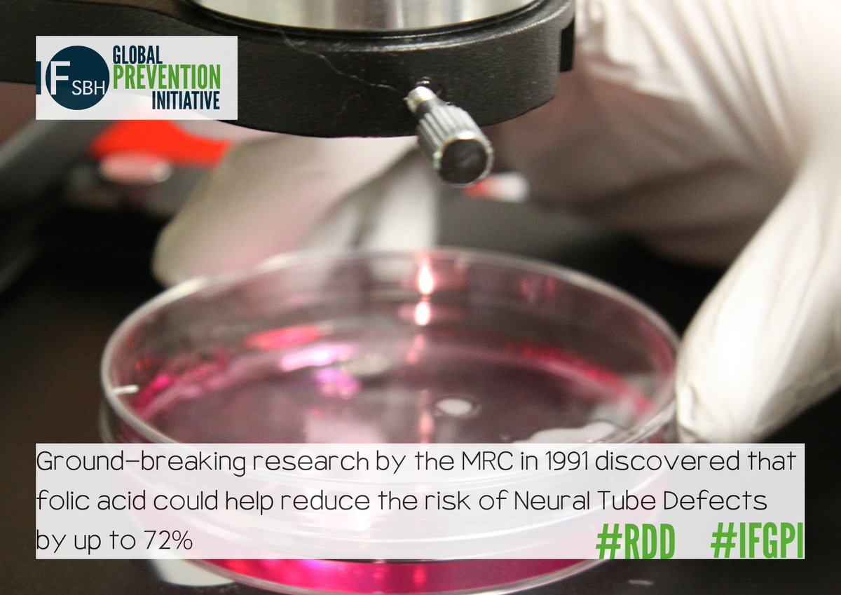 Ground-breaking research by the MRC in 1991 discovered that #FolicAcid could help reduce the risk of NTDs by up to 72% #IFGPI #RDD2017