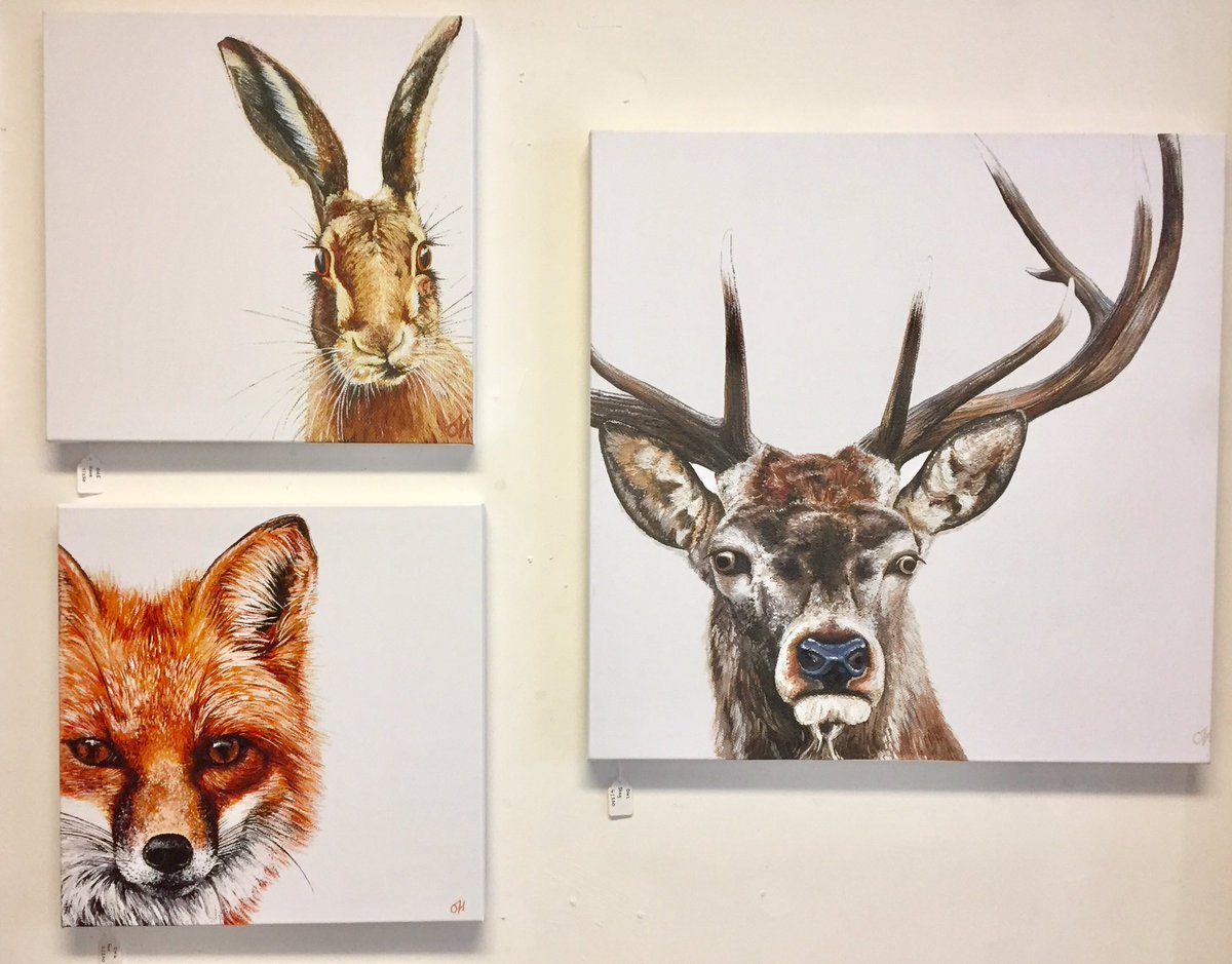 Loving these animal portraits by Olivia Hicks!