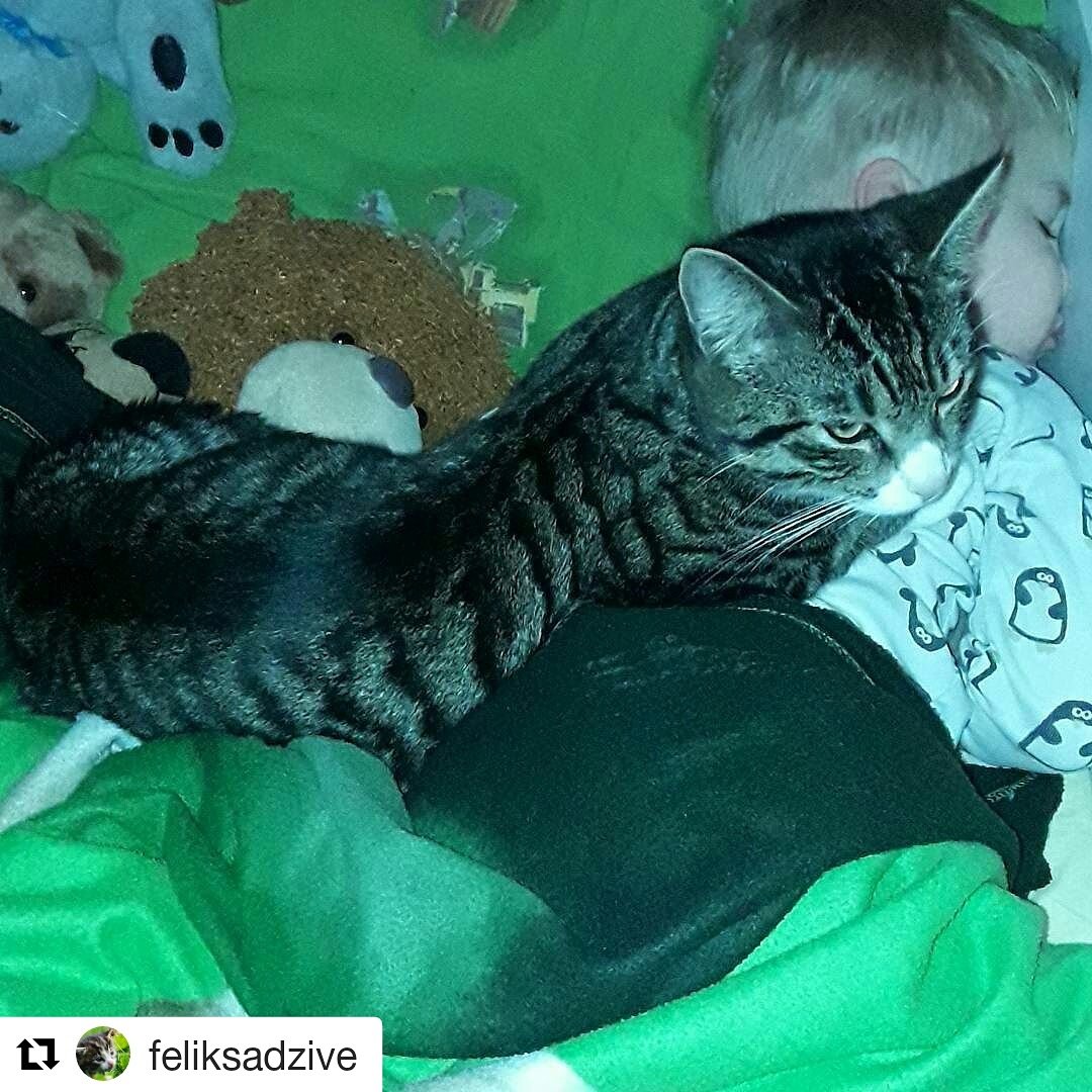 <a href="/liepajniekiemlv/">liepajniekiem.lv</a> <a href="/liepajalv/">Liepāja</a> <a href="/LiepajasPP/">Liepājas PP</a> 
Te vairāk info,kāds izskatās utt. <a href="/Zoopolicija/">Dzivniekupolicija</a> <a href="/RunaLiepaja/">Runā Liepāja</a> <a href="/lauvas_sirds/">Dzīvnieku patversme</a>