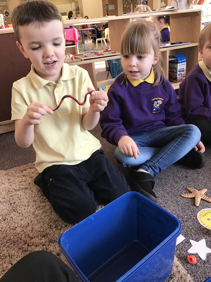 netherweans's tweet photo. We were successful learners today as we sorted sounds into the correct boxes #sortingsounds #literacy https://t.co/1XV8HLjnP2