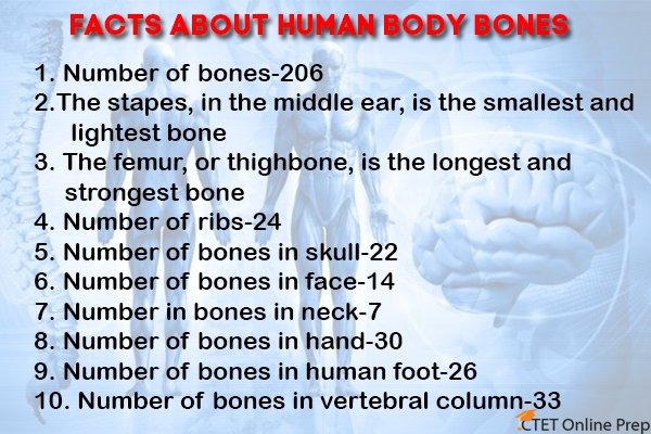 CTETOnlinePrep's tweet photo. #Facts #HumanbodyFacts #BonesFacts #scienceFacts #CTET #prepareonlineCTET
Connect with us on http:https://t.co/xANvq58ZTR https://t.co/QQ1JCzkx36
