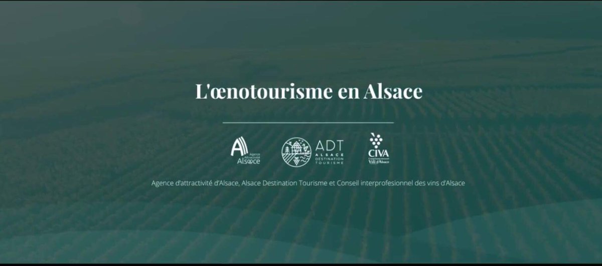 ADT_alsace's tweet photo. [Exclu Vidéo] #OenotourismeAlsace, les années 2012-2016 en images https://t.co/lEzRwvAXob https://t.co/v3ffie6sVG