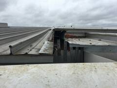 PESTFREEUK's tweet image. Finally #stormdoris gone so we&apos;re up here preventing further pigeon ingress! #PestControl #ethicalsolutions #proofing #westmidlands