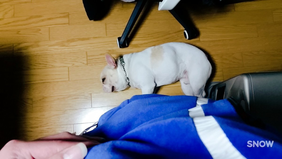 jsbrevolution's tweet photo. 久しぶり https://t.co/3Ou3BmT5Wa