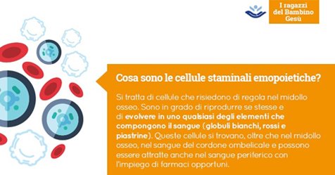 bambinogesu's tweet photo. #RagazziDelBG - Gli approfondimenti
Le 8 cose da sapere sul trapianto di midollo osseo ➡️https://t.co/wRTu7j2HPW https://t.co/Y83ftnInsM