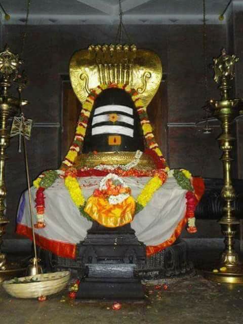 ask7191's tweet image. 