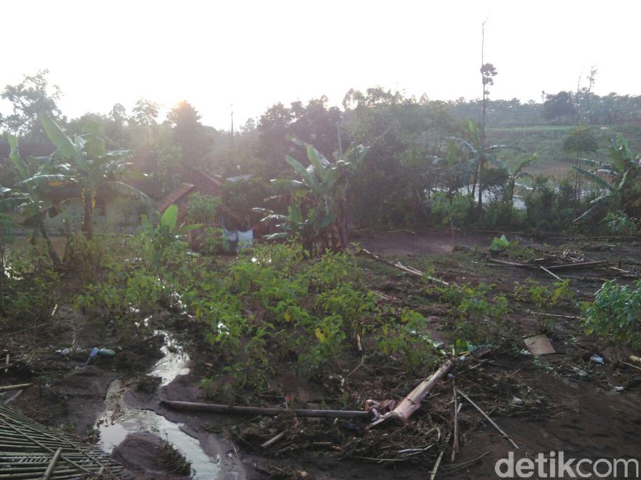 Gagal Panen Akibat Banjir, Petani di Garut Merugi Hingga Rp 1 M detik.id/6906vE