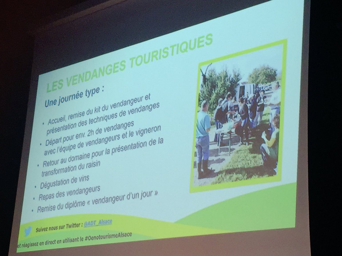 ADT_alsace's tweet photo. Les vendanges touristiques:une formule qui plaît, basée sur l'échange et l'expérience client- synvira &amp; @OTBarrBernstein #OenotourismeAlsace https://t.co/a3FbAKMoej