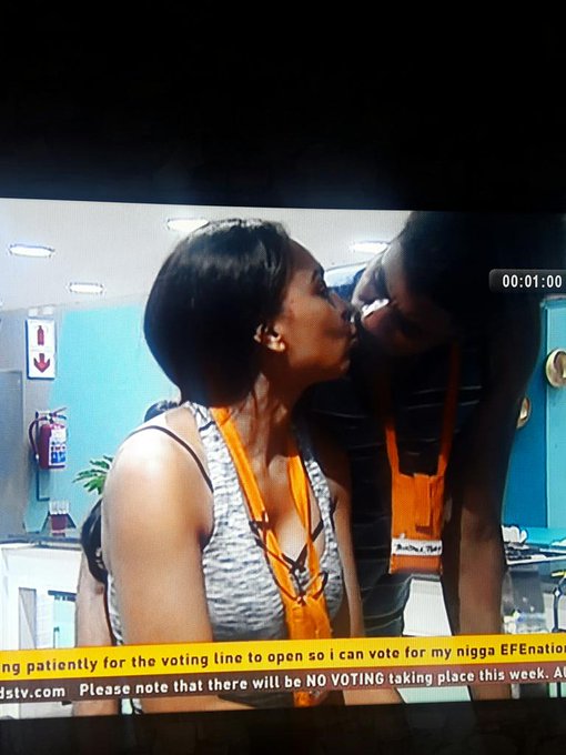 View image on Twitter