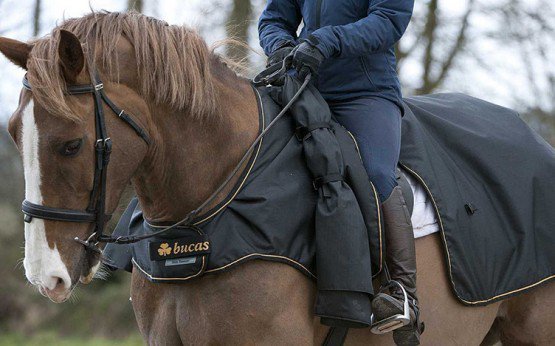 eCHEVALcom's tweet image. Découvrez avec nous ce couvre-reins 2-en-1 signé @Bucas_Ireland qui protège aussi bien le #cheval que le cavalier echeval.com/news/13-bucas-…