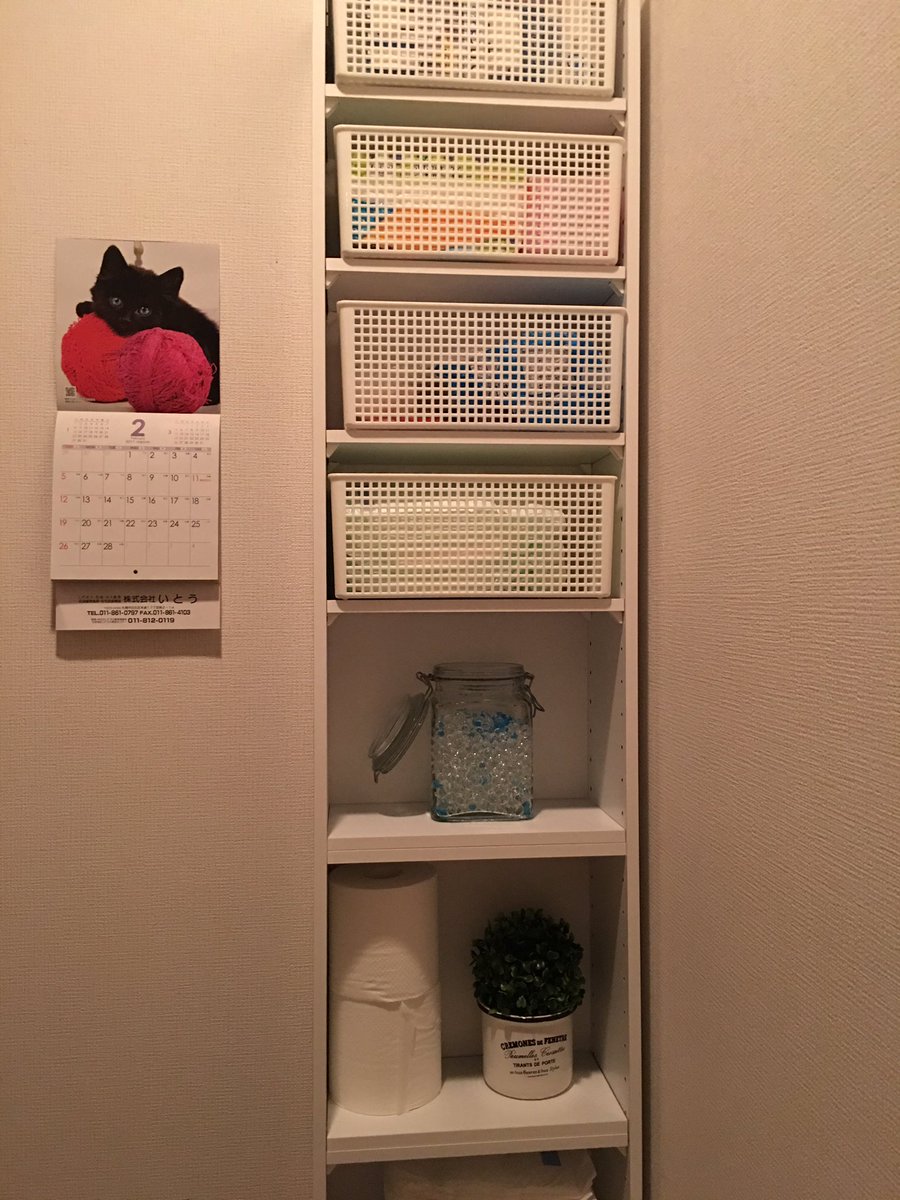 Kyouko Twitterren 三千円で買ったニトリのcd Dvd 収納棚に100均のカゴでトイレ収納棚完成 よくできましたー ｳﾋ