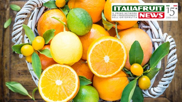 #Export #Agrumi italiani, via libera in #Cina @LimoneSiracusa <a href="/DopRibera/">Arancia Ribera Dop</a>  bit.ly/2mC5Sz0