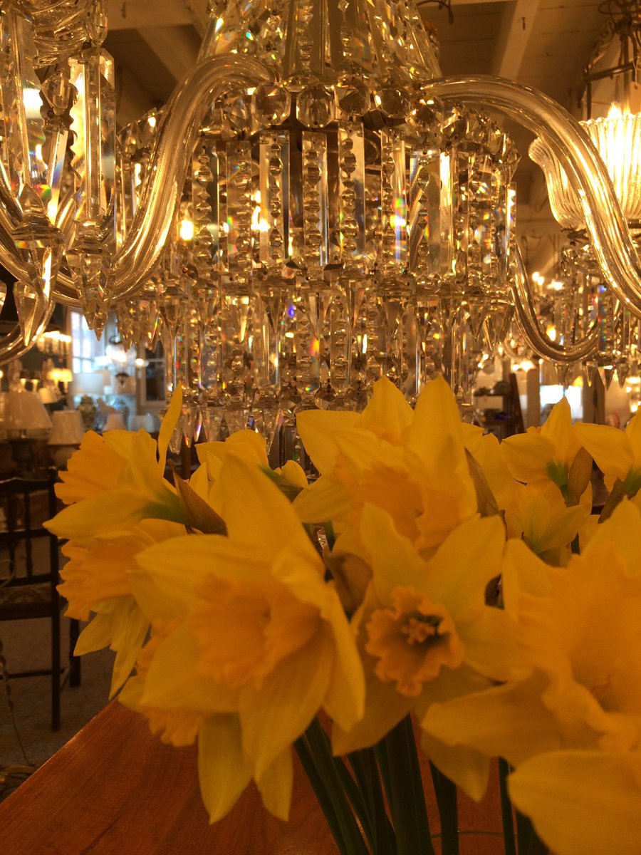 ClareWrenn's tweet photo. Brightening up the dull Monday morning with #crystalChandelier and #daffodils in the lovely warmth of my work #FritzFryer #lighting https://t.co/zqJqWzfeqe