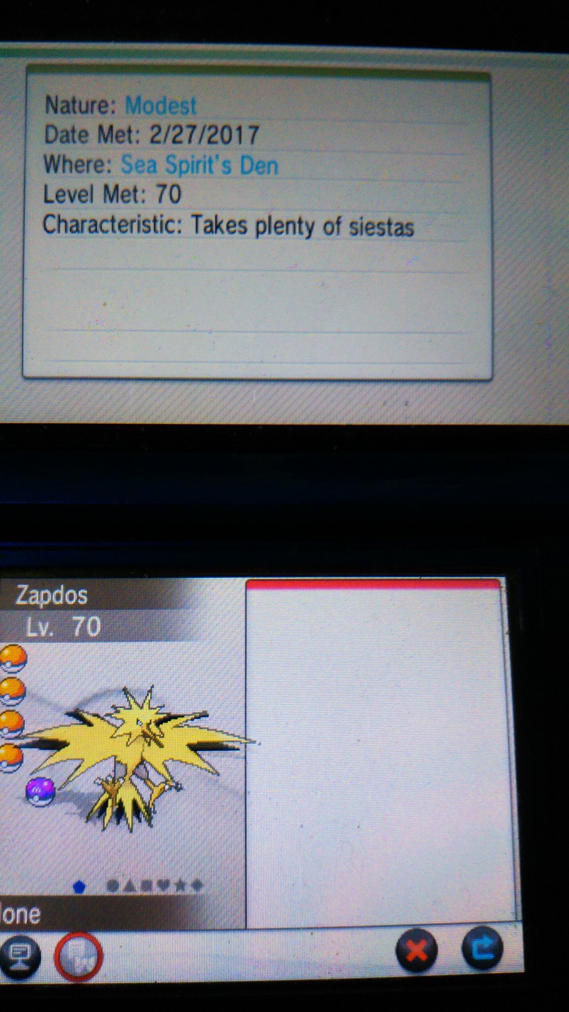 ペンスケ 控え目めざパ氷hcsv英語名サンダー厳選完了 センスの塊なnn考える ポケモンxy ポケモンサンムーン ペンスケ 控え目めざパ氷hcsv英語名サンダー厳選完了 センスの塊なnn考える ポケモンxy ポケモンサンムーン
