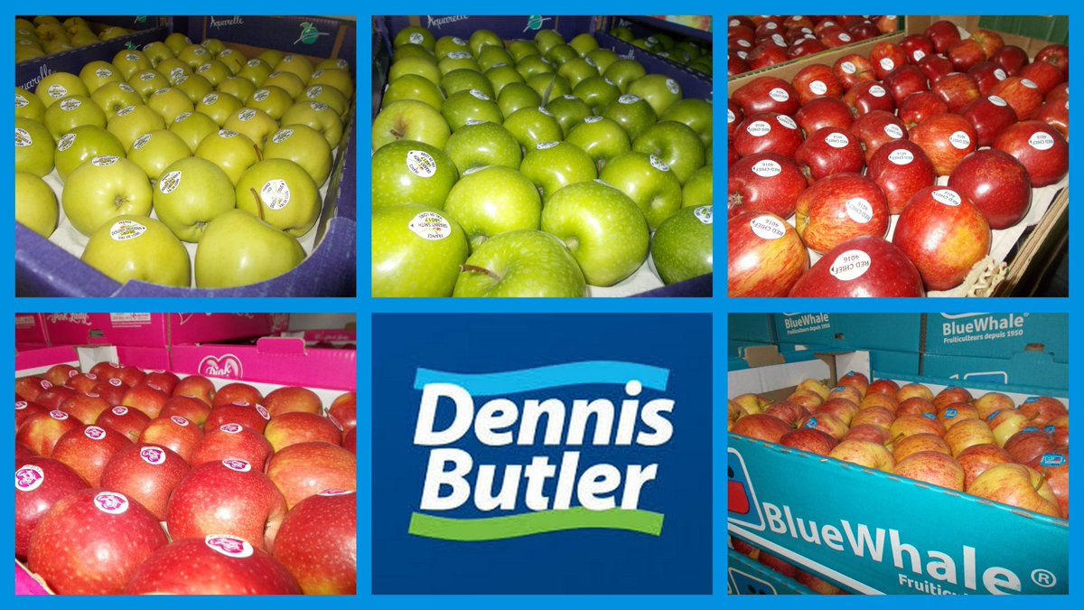 DennisButlerLtd's tweet photo. 🍎 #GrannySmith, #GoldenDelicious, #PinkLady, #RoyalGala which do you prefer? Come and choose @DennisButlerLtd!🍏 https://t.co/JDFwbIoFAd
