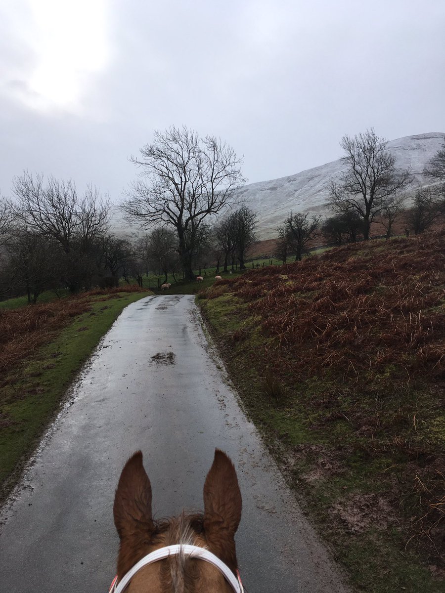 GHirst01's tweet photo. Snow on the mountain this morning #socold ❄️🏇 https://t.co/DX1VG2H6Qj