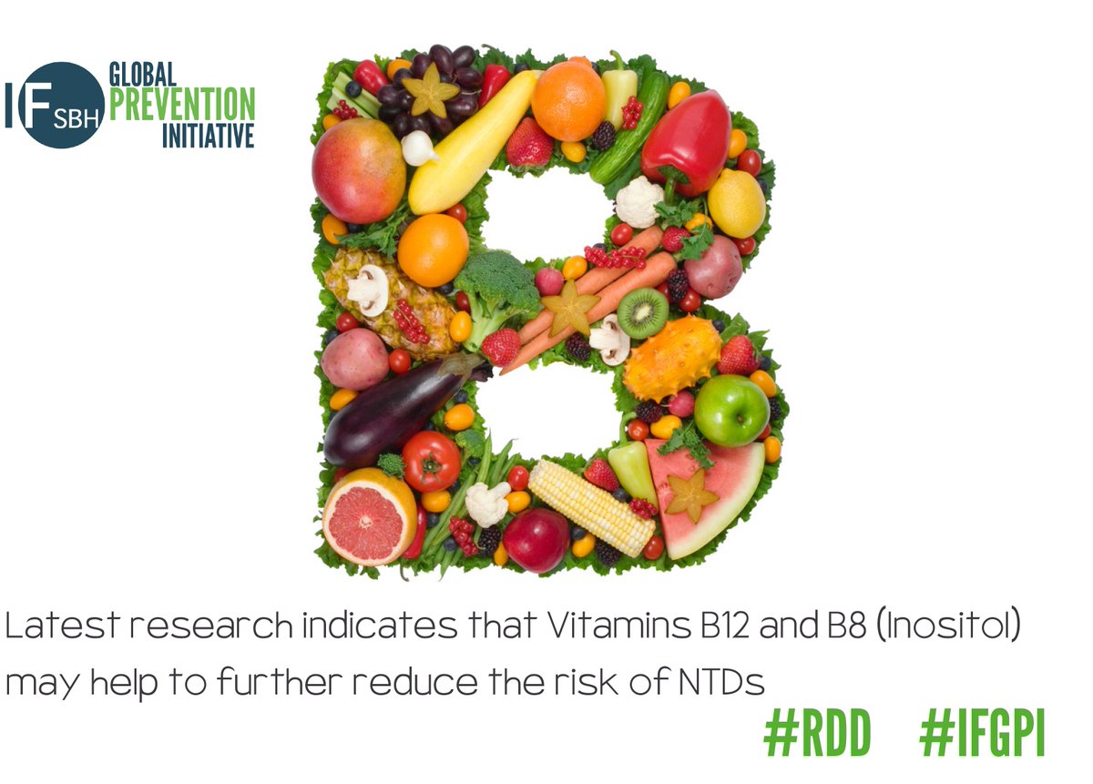 Latest research indicates that Vitamins B12 and B8 (Inositol) may help to further reduce the risk of NTDs. #IFGPI #RDD2017