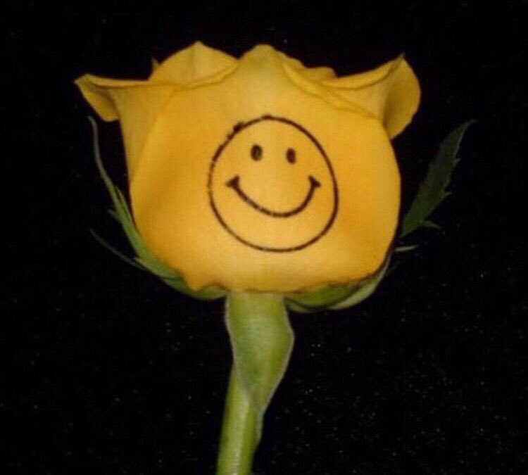 _Nskd_O1O5's tweet image. #1RTで 身長
#2RTで 出身地
#3RTで 好きな色
#4RTで 好きな食べ物
#5RTで 好きなスポーツ
#6RTで 普段書く字晒す
#7RTで ロック画面
#8RTで ホーム画面
#9RTで 自担の好きなとこ
#10RTで 自撮り晒す

自撮りはどうかな（）